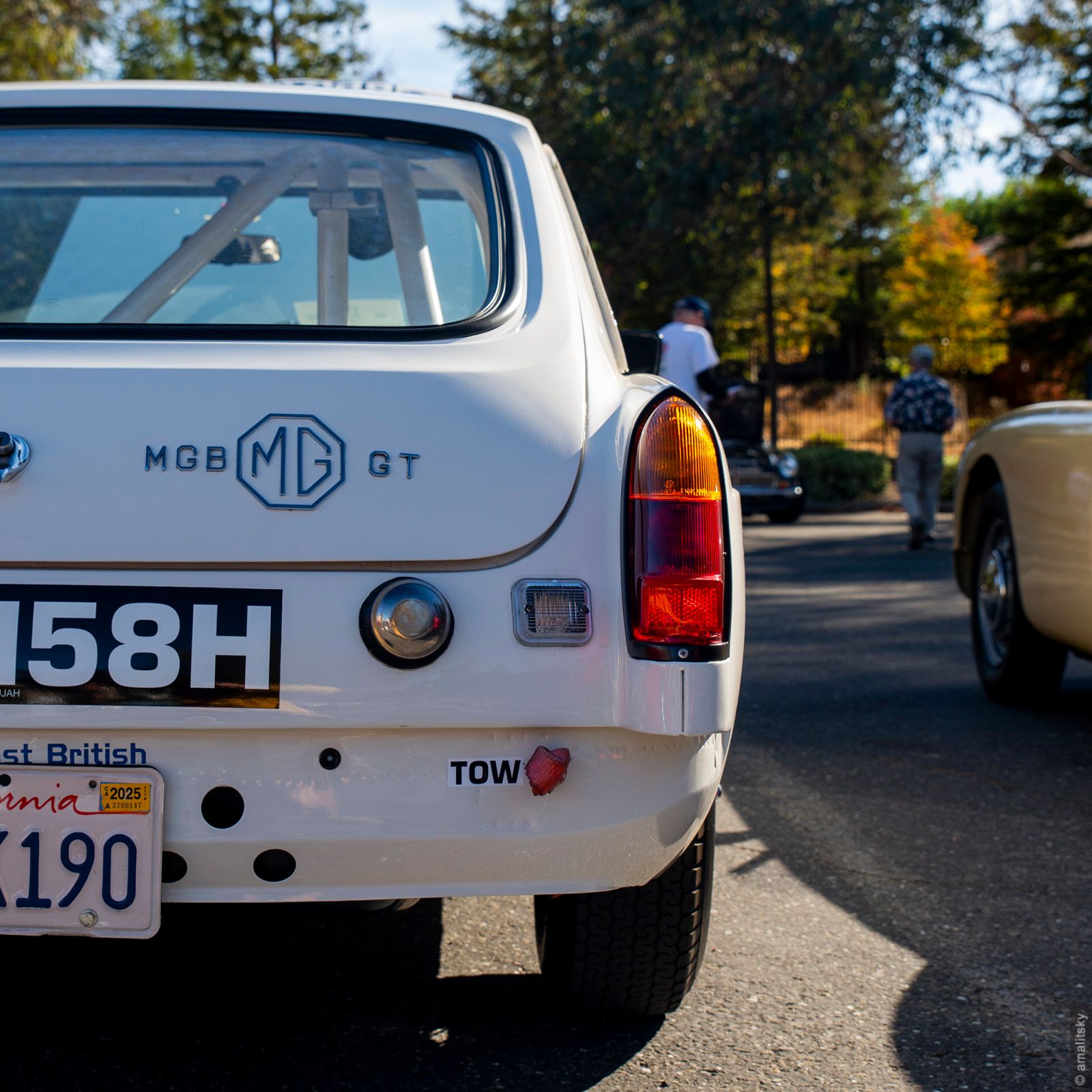 MGB GT