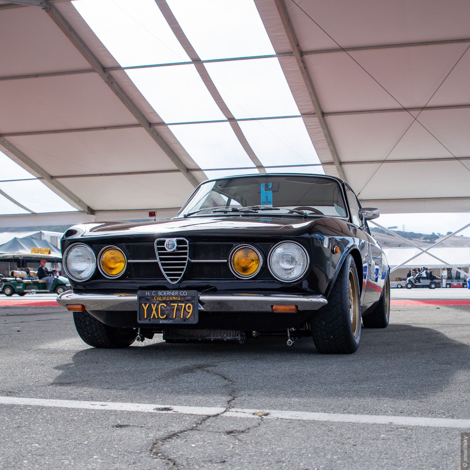 Alfa Romeo GTV