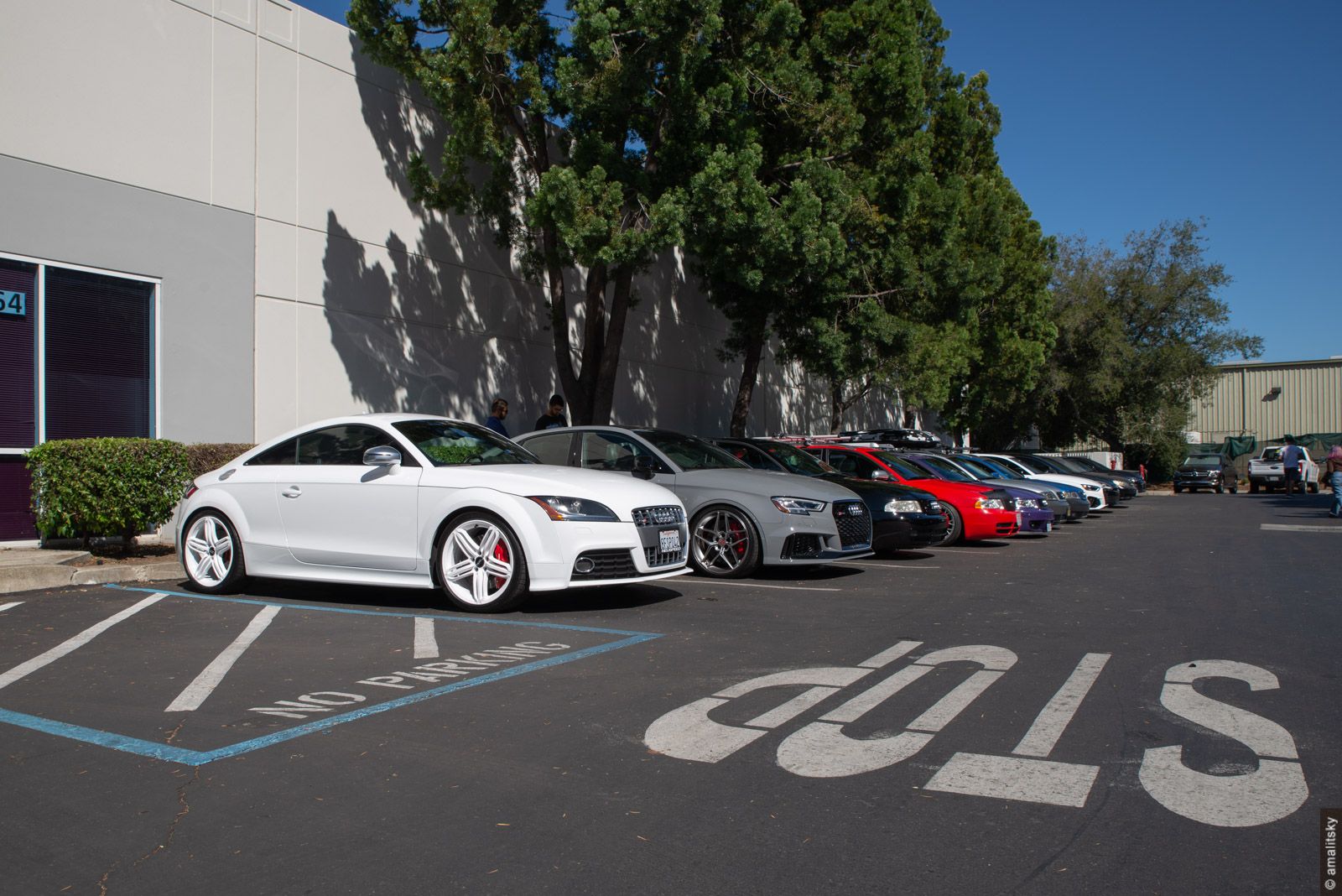 Visitor cars