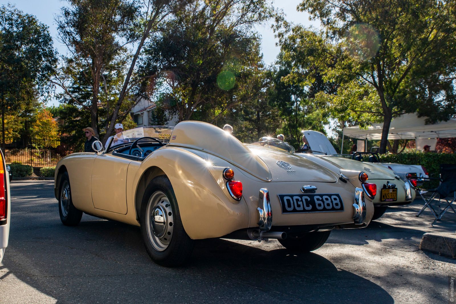 MGA Roadster